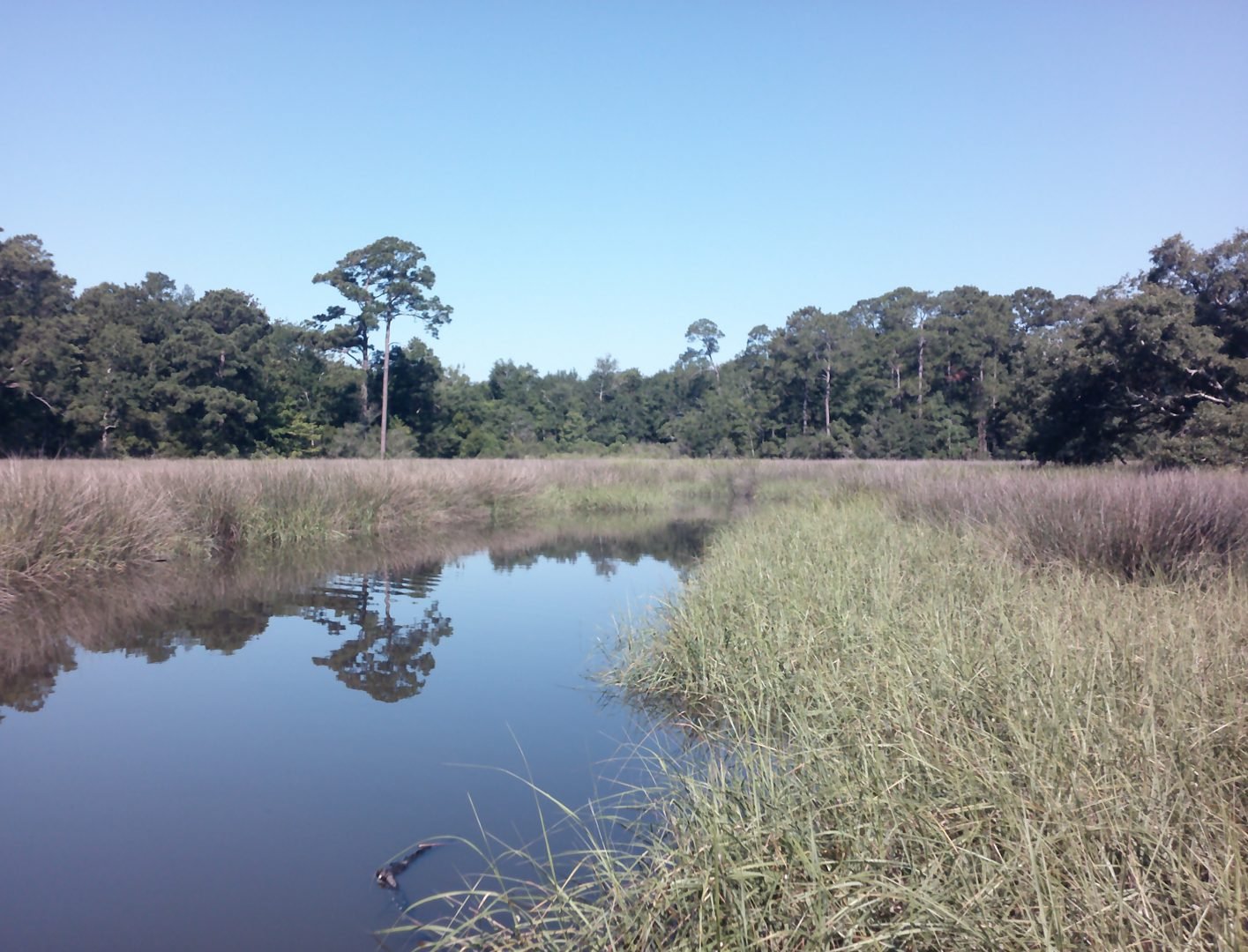 Minolta MND20 or iPhone 15 Pro Max?