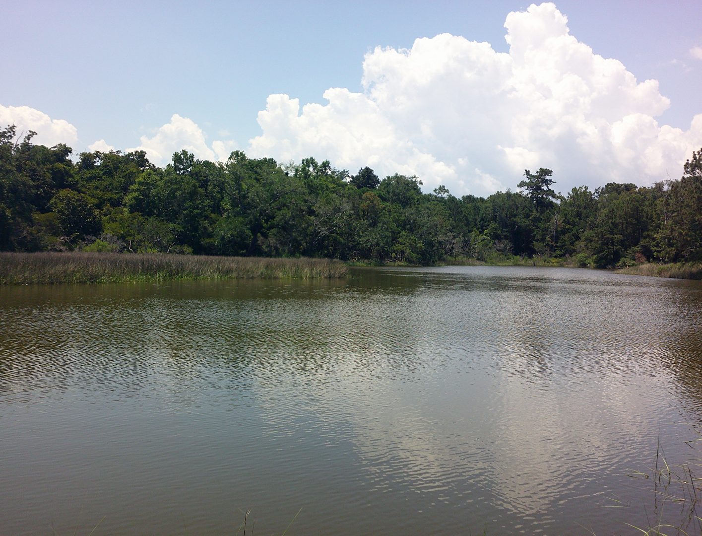 Minolta MND20 or iPhone 15 Pro Max?